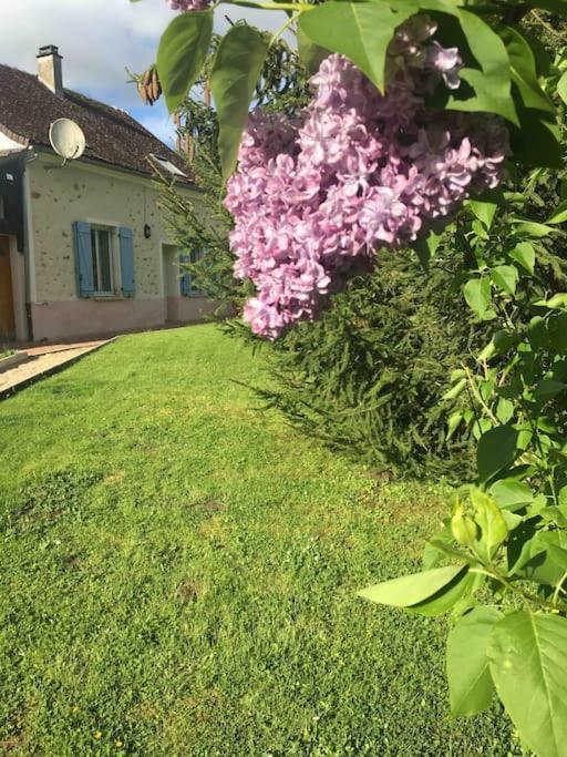 Cottage De Charme A La Campagne Aulnoy Exterior foto